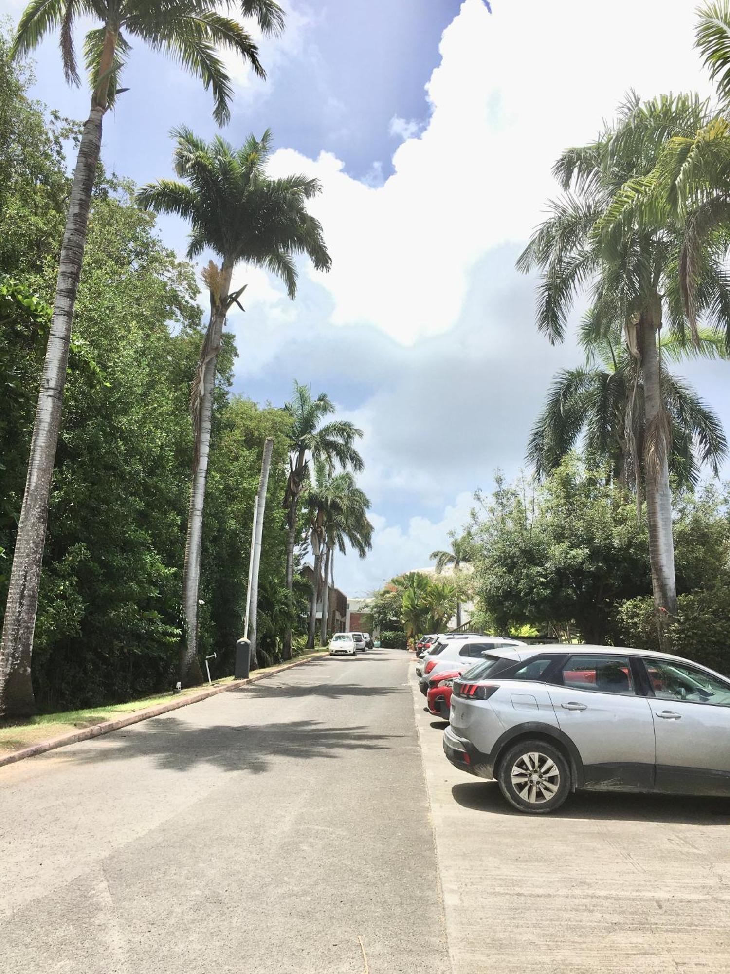 Appartement St Francois Manganao Guadeloupe Сен-Франсуа Екстер'єр фото