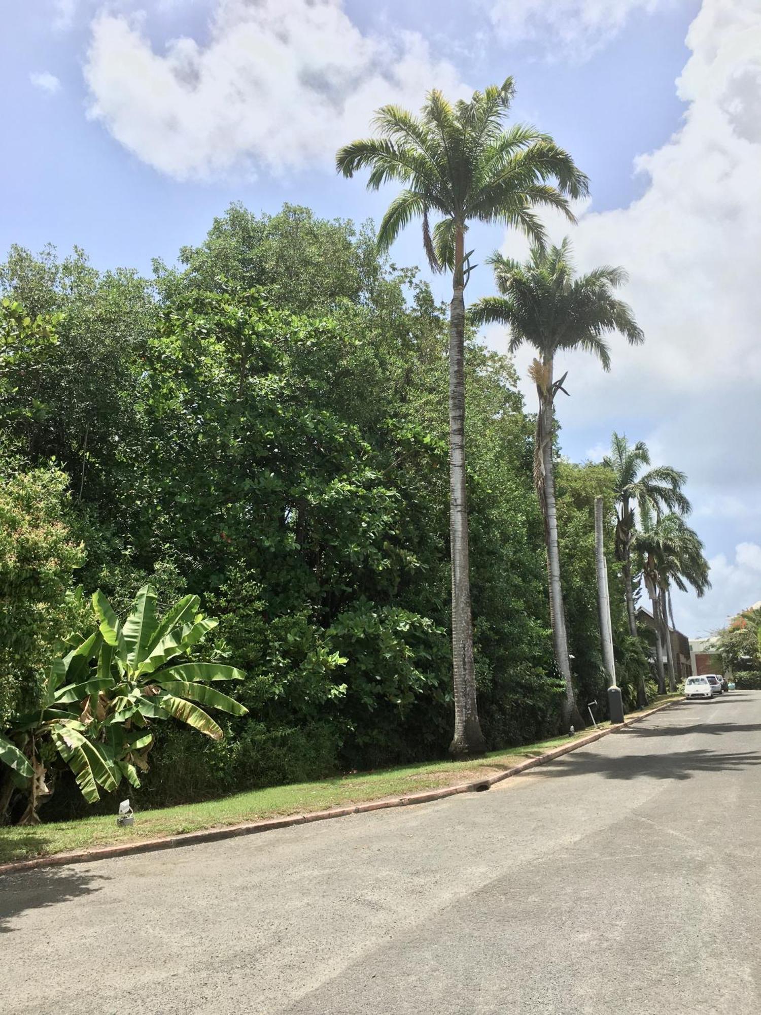 Appartement St Francois Manganao Guadeloupe Сен-Франсуа Екстер'єр фото